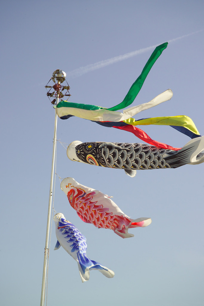 Koinobori diy